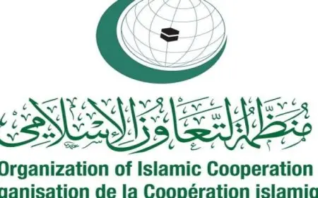 منظمة التعاون الإسلامى ترحب بمذكرتي الجنائية الدولية لاعتقال نتنياهو وجالانت