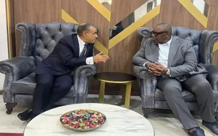 وزير الخارجية: مصر تحرص على تعزيز التكامل الاقتصادي مع الدول الأفريقية وفي مقدمتها الكونجو الديمقراطية