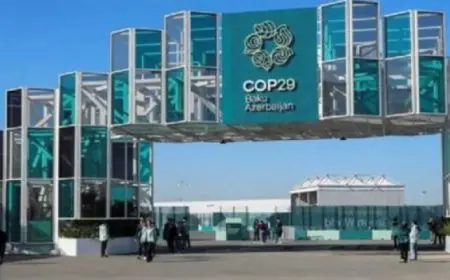 قمة المناخ: تأجيل قرار الدولة المضيفة لـ”كوب 31″ للعام المقبل