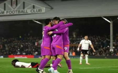 فوز ولفرهامبتون على فولهام 4-1 وتعادل كريستال بالاس مع أستون فيلا 2-2 بالدوري الإنجليزي