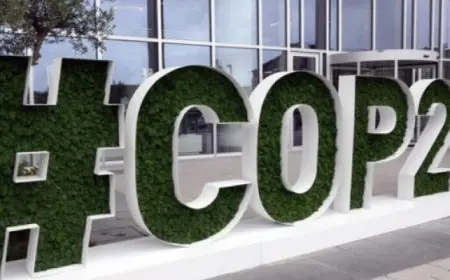 تمويل سنوي بقيمة 300 مليار دولار للبلدان النامية لمكافحة تغير المناخ