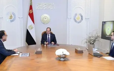 الرئيس السيسي يوجه بأهمية العمل على مواصلة تحسين مناخ الاستثمار