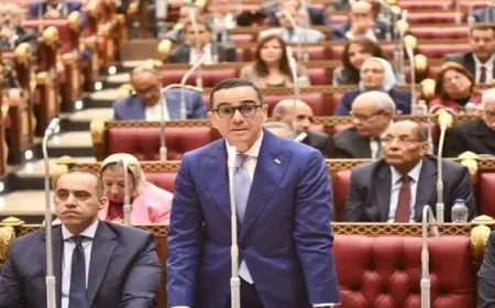 وزير الاستثمار أمام “الشيوخ”: ملتزمون بتوفير فرص استثمارية مستدامة تدعم النمو الاقتصادي