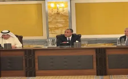 وزير الخارجية: مصر تخطو خطوات ثابتة وسريعة نحو تطوير الأداء الاقتصادي