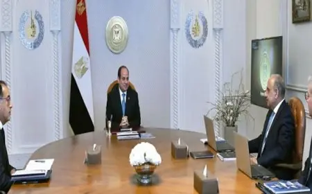 الرئيس السيسي يوجه بتكثيف الجهود الحكومية لتعزيز فرص جذب الاستثمارات لقطاع الطاقة