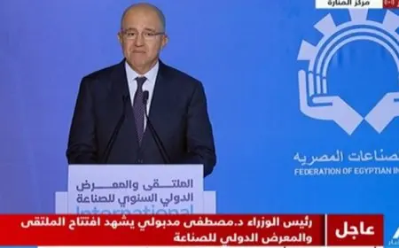 رئيس اتحاد الصناعات: الدولة تهتم بالقطاع الصناعي وتتخذ قرارات سريعة لحل مشاكل الصناع