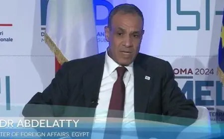 وزير الخارجية: الخيارات العسكرية لا تحقق السلام والاستقرار ولا غنى عن الحلول الدبلوماسية