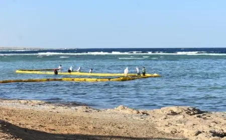 وزيرة البيئة توجه بتشكيل لجنة لمتابعة حادث شحوط سفينة شحن بالقصير