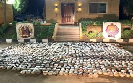 قوات حرس الحدود توجه عددا من الضربات الناجحة ضد مهربي المواد المخدرة والأسلحة