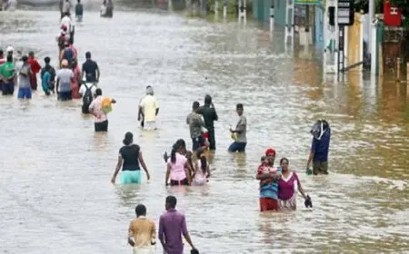 فقدان 8 أشخاص جراء الفيضانات شرق سريلانكا