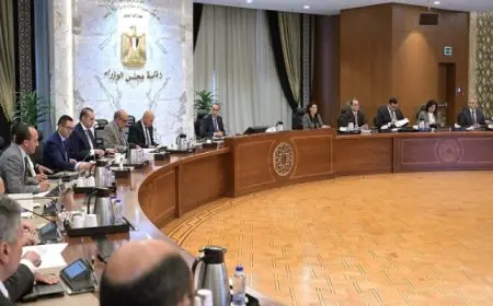 رئيس الوزراء يترأس اجتماع اللجنة العليا لشئون المشاركة…واللجنة توافق على طرح 12 مشروعا