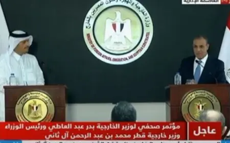بال وال.. وزير الخارجية: هناك إرادة سياسية من قيادتي مصر وقطر لتحقيق نقلة نوعية في العلاقات الثنائية