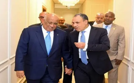 وزير الخارجية يشيد بالعلاقات التاريخية التي تربط بين مصر وجيبوتي
