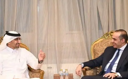 المستشار محمود فوزي يستقبل وزير العدل القطري