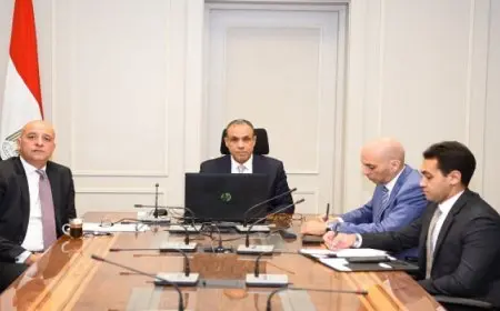 وزير الخارجية يشارك في الاجتماع الوزاري لمجلس السلم والأمن الافريقي