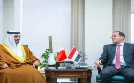 وزير المالية: نتطلع للتعاون المالي والاستثماري والاقتصادي مع البحرين