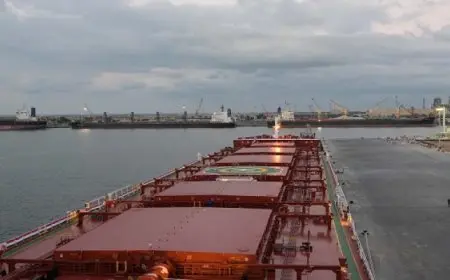 بالإنفوجراف.. مجلس الوزراء: خط “الرورو” المصري الإيطالي يسهم في تحويل مصر لمركز إقليمي للنقل واللوجستيات