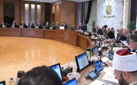 خلال اجتماع الحكومة.. رئيس الوزراء يؤكد حرص الدولة على بذل مختلف الجهود لتحفيز قطاع الصناعة