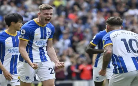 برايتون يواجه ساوثهامبتون اليوم في الدوري الإنجليزي