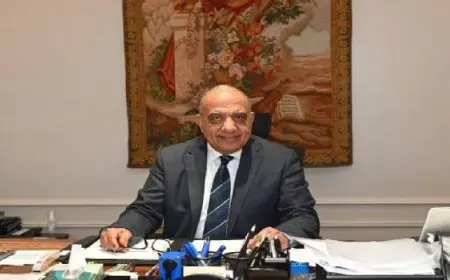 وزارة الكهرباء تحتفل بتخريج 39 متدربا أفريقيا على نظم الحماية بشبكات التوزيع