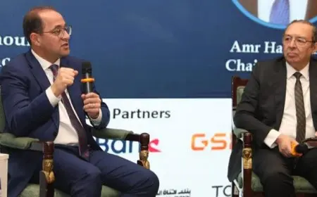 وزير المالية : بدأنا تنفيذ الحزمة الأولى للتسهيلات الضريبية بهدف تقديم خدمات ضريبية أفضل وأيسر لمجتمع الأعمال