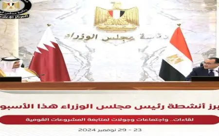 بالإنفوجراف.. أبرز أنشطة رئيس مجلس الوزراء هذا الأسبوع