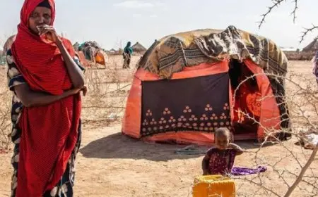 مفوضية اللاجئين: ملايين النازحات قسرا يواجهن خطرا مرتفعا لعنف النوع الاجتماعي