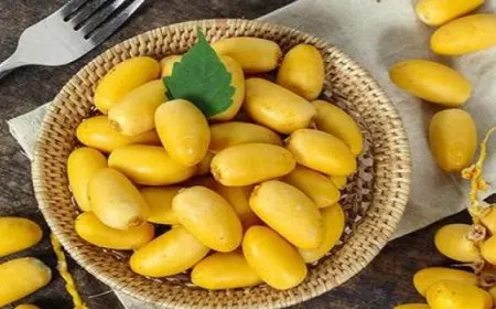 5 فوائد مثالية للبلح الأصفر