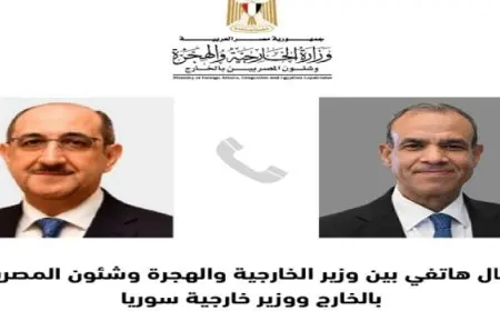 وزير الخارجية يبحث هاتفياً مع نظيره السوري التطورات الأخيرة خاصة في إدلب وحلب