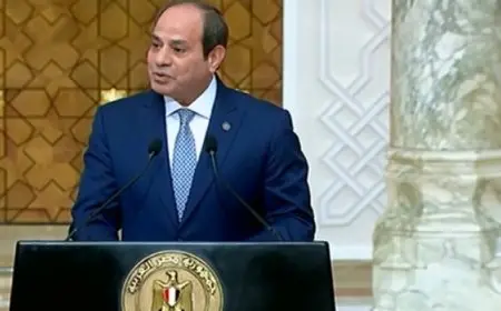 السيسي: اتفقت مع رئيس الجابون على استمرار جهود الدولتين فى إرساء الأمن والاستقرار في محيطهما الأقليمي