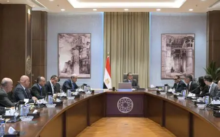 رئيس الوزراء يتابع موقف توفير الاحتياجات المالية لـ “الشراء الموحد” لسداد مستحقات شركات الأدوية والمستلزمات الطبية