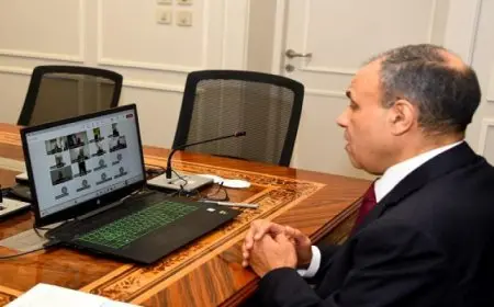 وزير الخارجية والهجرة يعقد لقاءً افتراضياً مع الجالية المصرية في سلطنة عمان