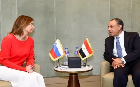 وزير الخارجية يلتقي مع نظيرته السلوفينية على هامش فعاليات مؤتمر القاهرة الوزاري