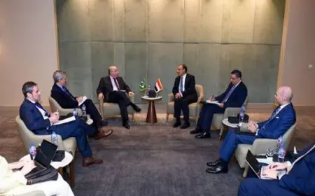 بال .. وزير الخارجية ونظيره البرازيلي يؤكدان ضرورة وقف إطلاق النار في غزة