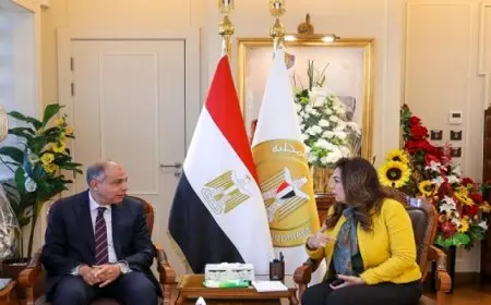 وزيرة التنمية المحلية تناقش مع محافظ المنيا أبرز مستجدات تنفيذ برنامج التنمية المحلية في صعيد مصر