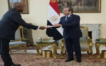 الرئيس السيسي يتسلم رسالة من نظيره الكونغولي تتعلق بتعزيز العلاقات بين البلدين