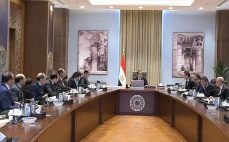 رئيس الوزراء يؤكد حرص الدولة على توفير مخزون استراتيجي من مختلف السلع الأساسية وعلى رأسها القمح