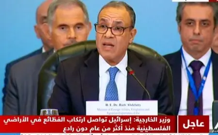 في كلمته خلال مؤتمر تعزيز الاستجابة الإنسانية في غزة .. وزير الخارجية: العدوان الإسرائيلي على غزة فاق كل الحدود