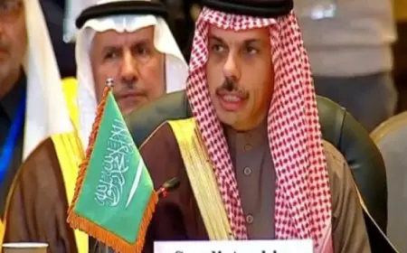 وزير الخارجية السعودي: نقدر جهود مصر لتعزيز الأمن الإقليمي