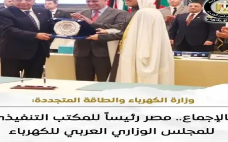 مصر رئيساً للمكتب التنفيذي للمجلس الوزاري العربي للكهرباء