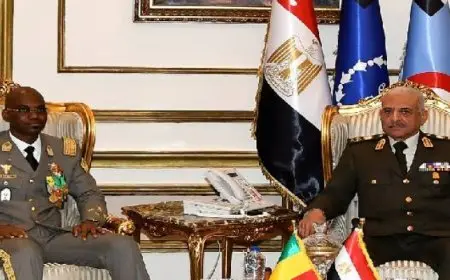 وزيرا دفاع مصر ومالي يبحثان المستجدات على الساحتين الإقليمية والدولية