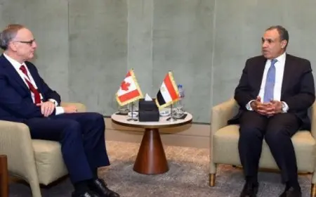 وزير الخارجية يشدد على ضرورة تكثيف الجهود الدبلوماسية لوقف إطلاق النار في غزة