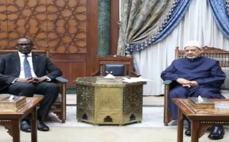 شيخ الأزهر لوزير خارجية مالي: لا ندخر جهدًا في مساعدة الشعوب الإفريقية ودعم استقلالها
