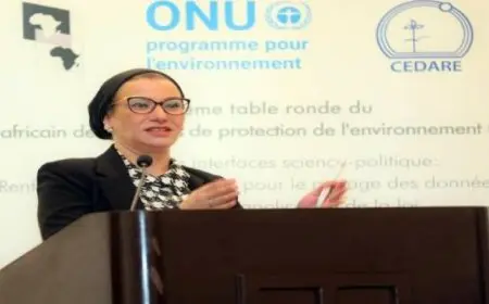 وزيرة البيئة تفتتح المائدة المستديرة الثانية للمنتدى الأفريقي لوكالات حماية البيئة (AFEPA)