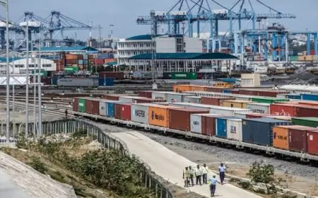 مصر تلزم شركات المناطق الحرة والاقتصادية بسداد استهلاكها من الغاز بالدولار