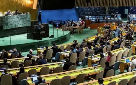 بأغلبية 157 صوتًا .. الجمعية العامة للأمم المتحدة تطالب بإقامة دولة فلسطينية وإنهاء الاحتلال الإسرائيلي