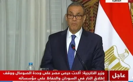 وزير الخارجية: توجيهات مباشرة من الرئيس السيسي ونظيره الأوغندي للمزيد من تدعيم العلاقات بين البلدين