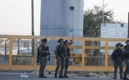 هيئة الأسرى ونادي الأسير الفلسطيني: الاحتلال يواصل استحداث معسكرات لمعتقلي غزة آخرهم معسكر (نفتالي)