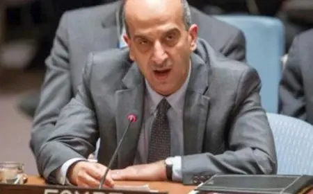 مصر تُطالب باتخاذ قرار أممي بالإعلان عن قيام دولة فلسطينية مستقلة ووقف دائم لإطلاق النار في لبنان