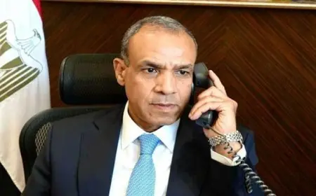 وزيرا خارجية إيران ومصر يبحثان التطورات في سوريا